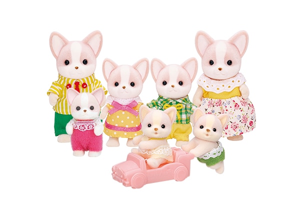 Chihuahua Dog Family