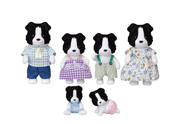 Border Collie Family