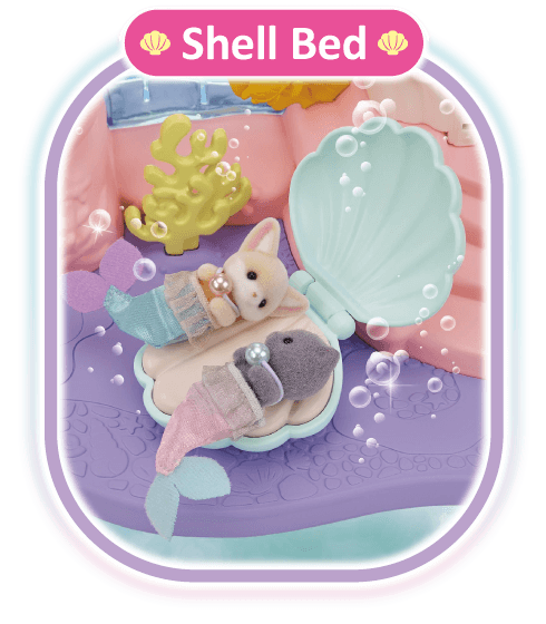 Shell Bed