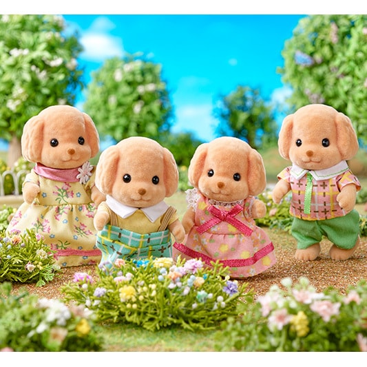 Toy Poodle Family - 3