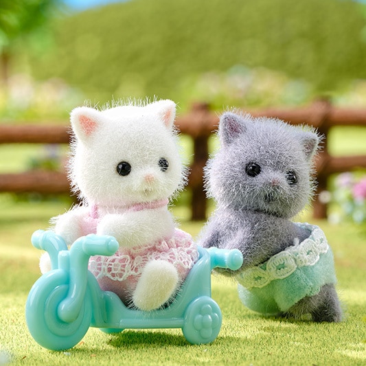 Persian Cat Twins - 6