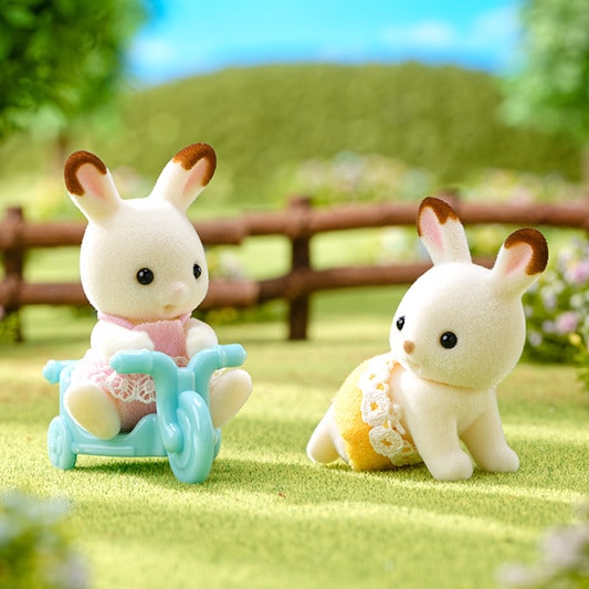 Chocolate Rabbit Twins - 6